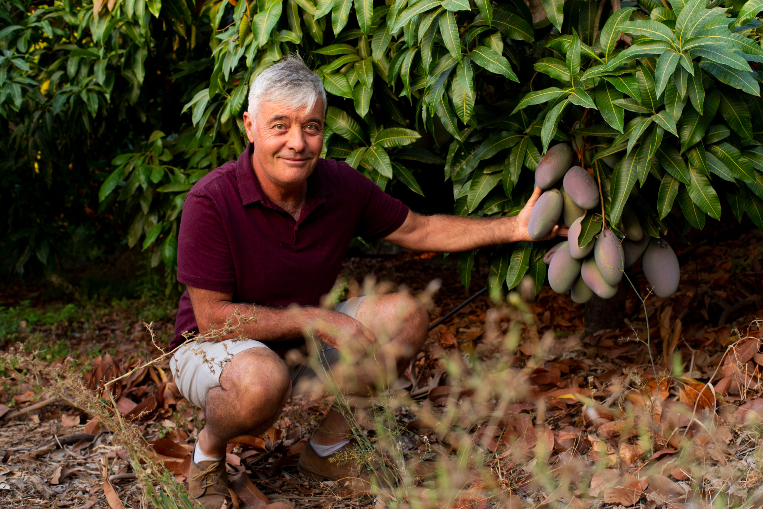 Bio Landwirt mit Bio Mangos