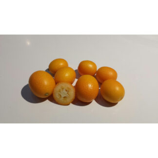 KUMQUAT BIO