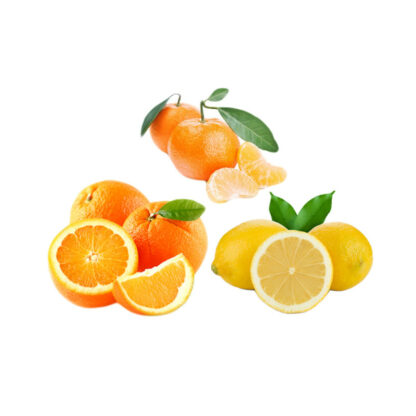 Mandarines bio oranges bio citrons bio